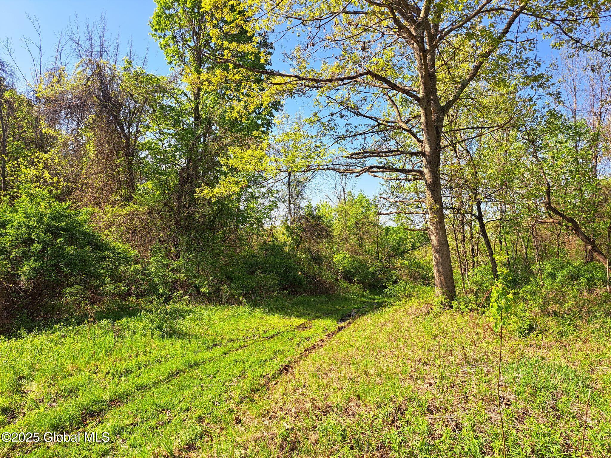 851 Bald Mountain Road Greenwich NY 12834
