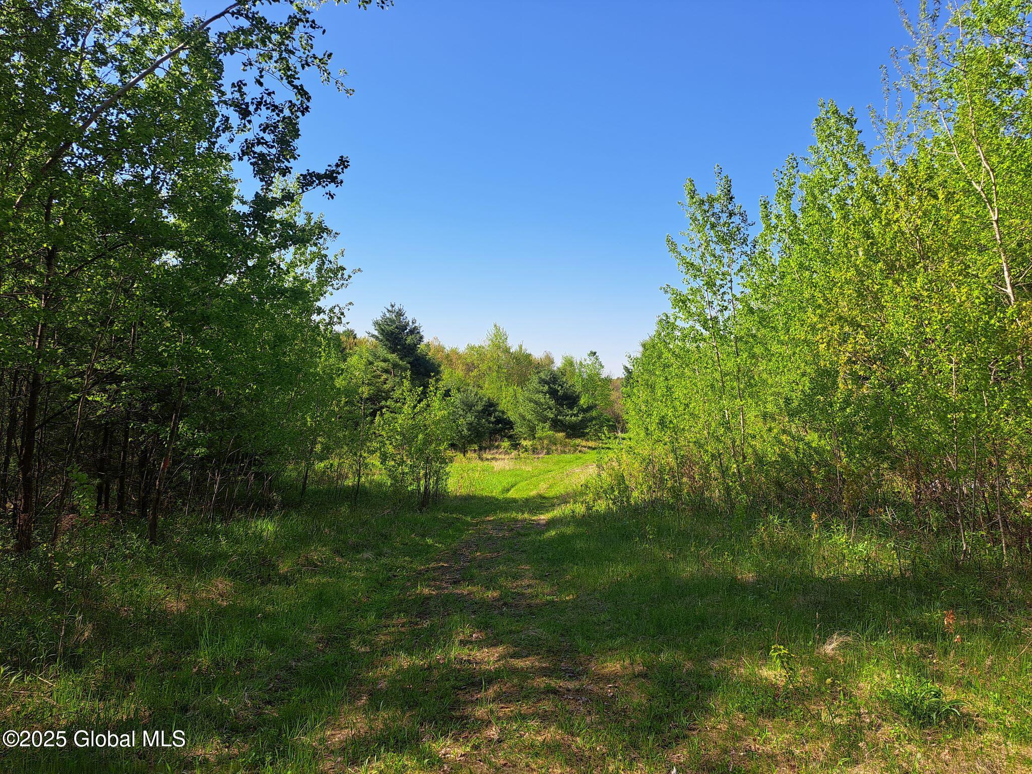 851 Bald Mountain Road Greenwich NY 12834