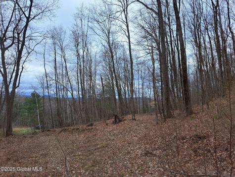 851 Bald Mountain Road Greenwich NY 12834
