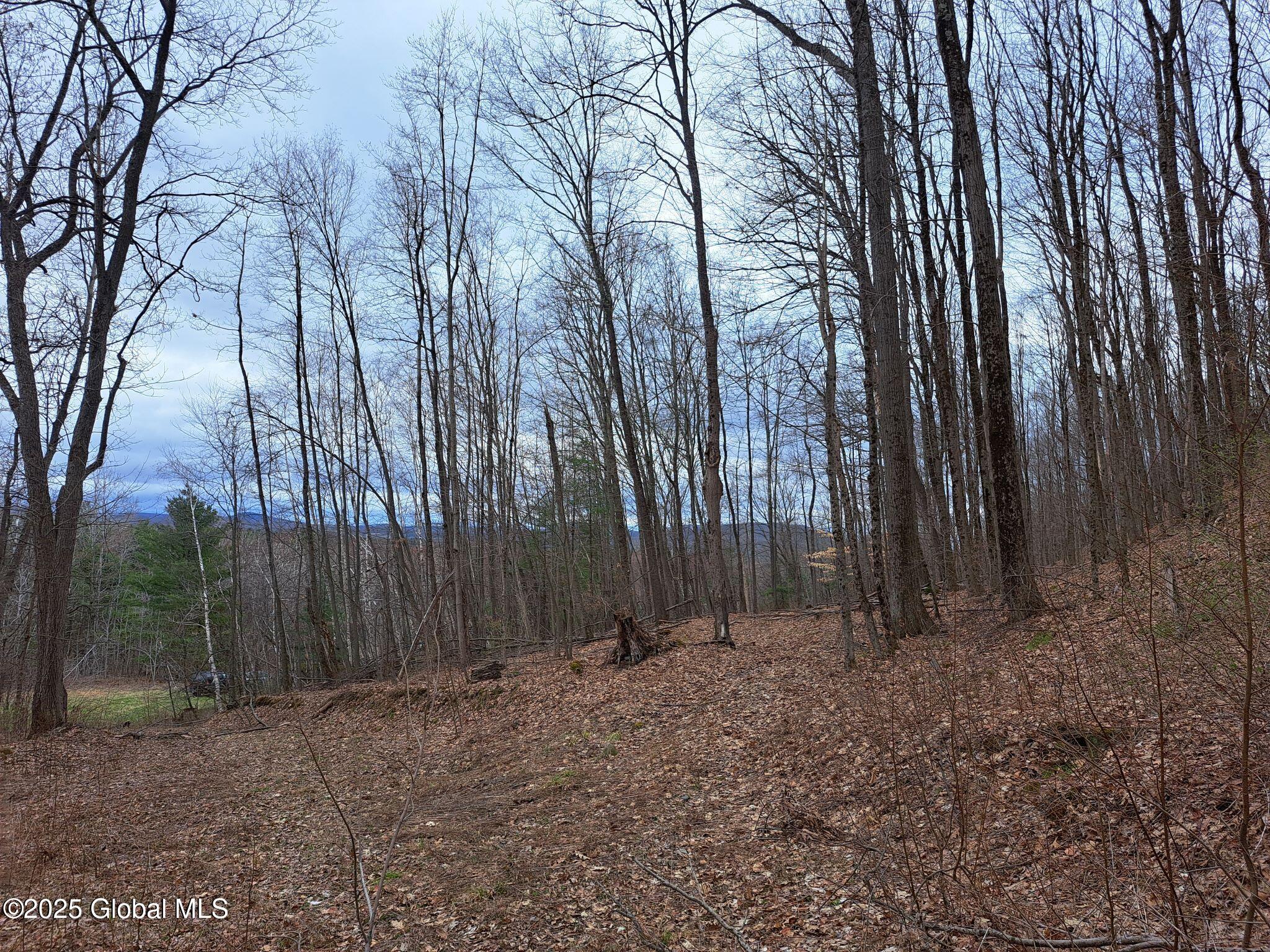 851 Bald Mountain Road Greenwich NY 12834