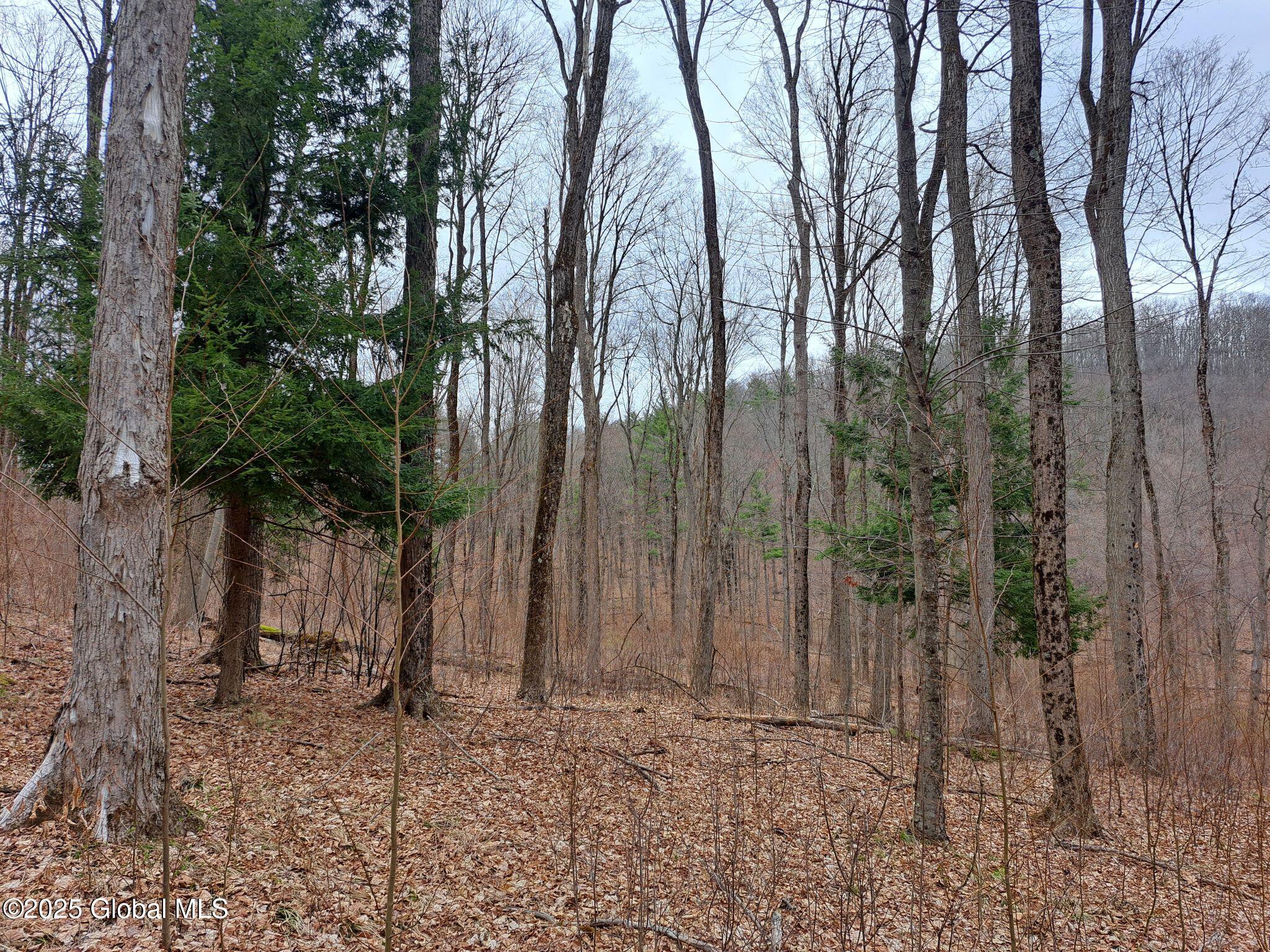 851 Bald Mountain Road Greenwich NY 12834