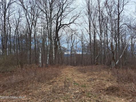 851 Bald Mountain Road Greenwich NY 12834