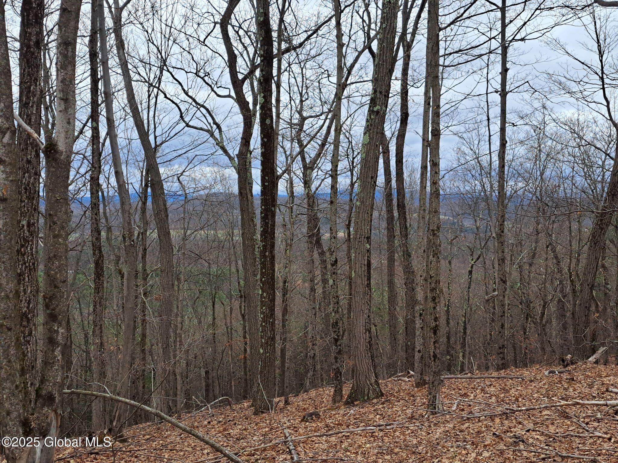 851 Bald Mountain Road Greenwich NY 12834