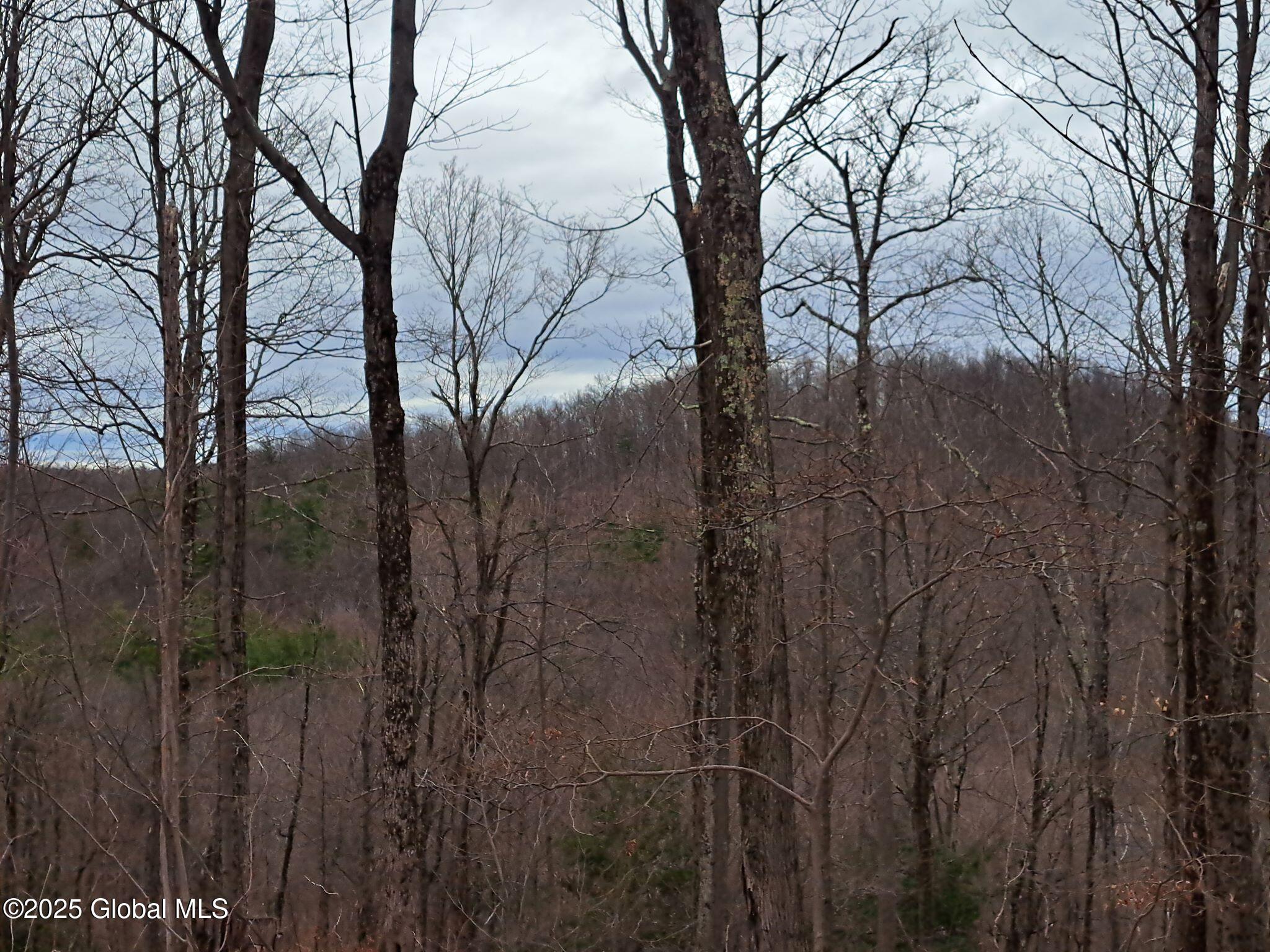 851 Bald Mountain Road Greenwich NY 12834