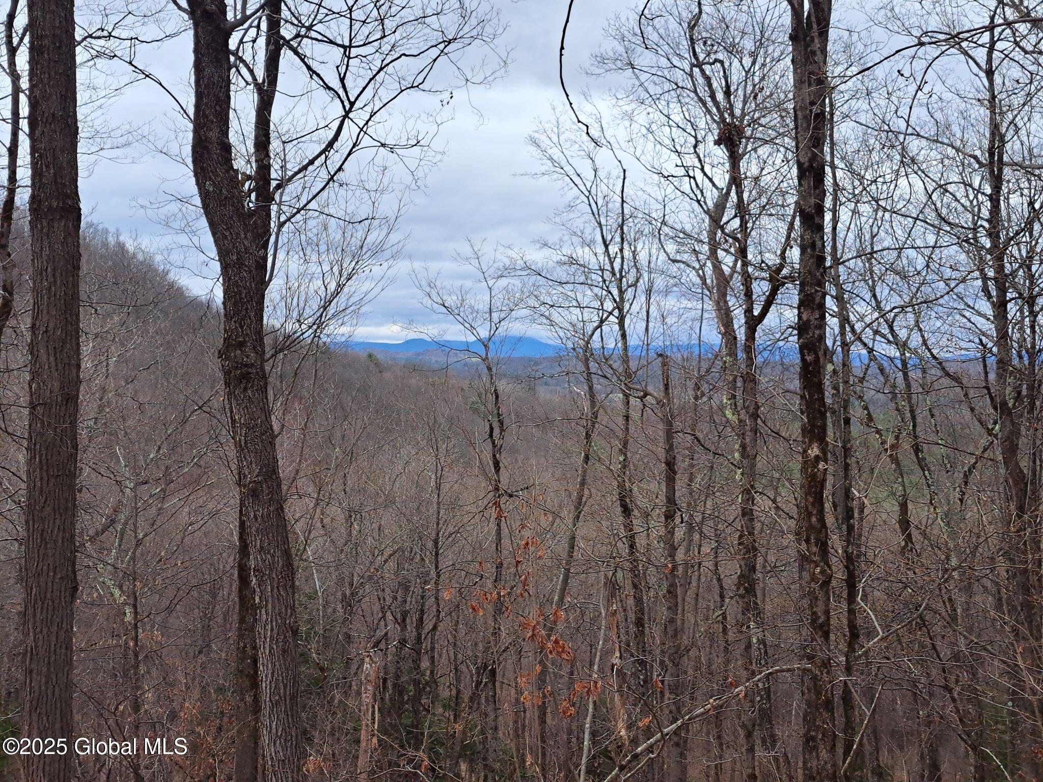 851 Bald Mountain Road Greenwich NY 12834