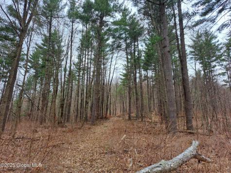 851 Bald Mountain Road Greenwich NY 12834