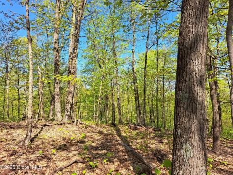 851 Bald Mountain Road Greenwich NY 12834