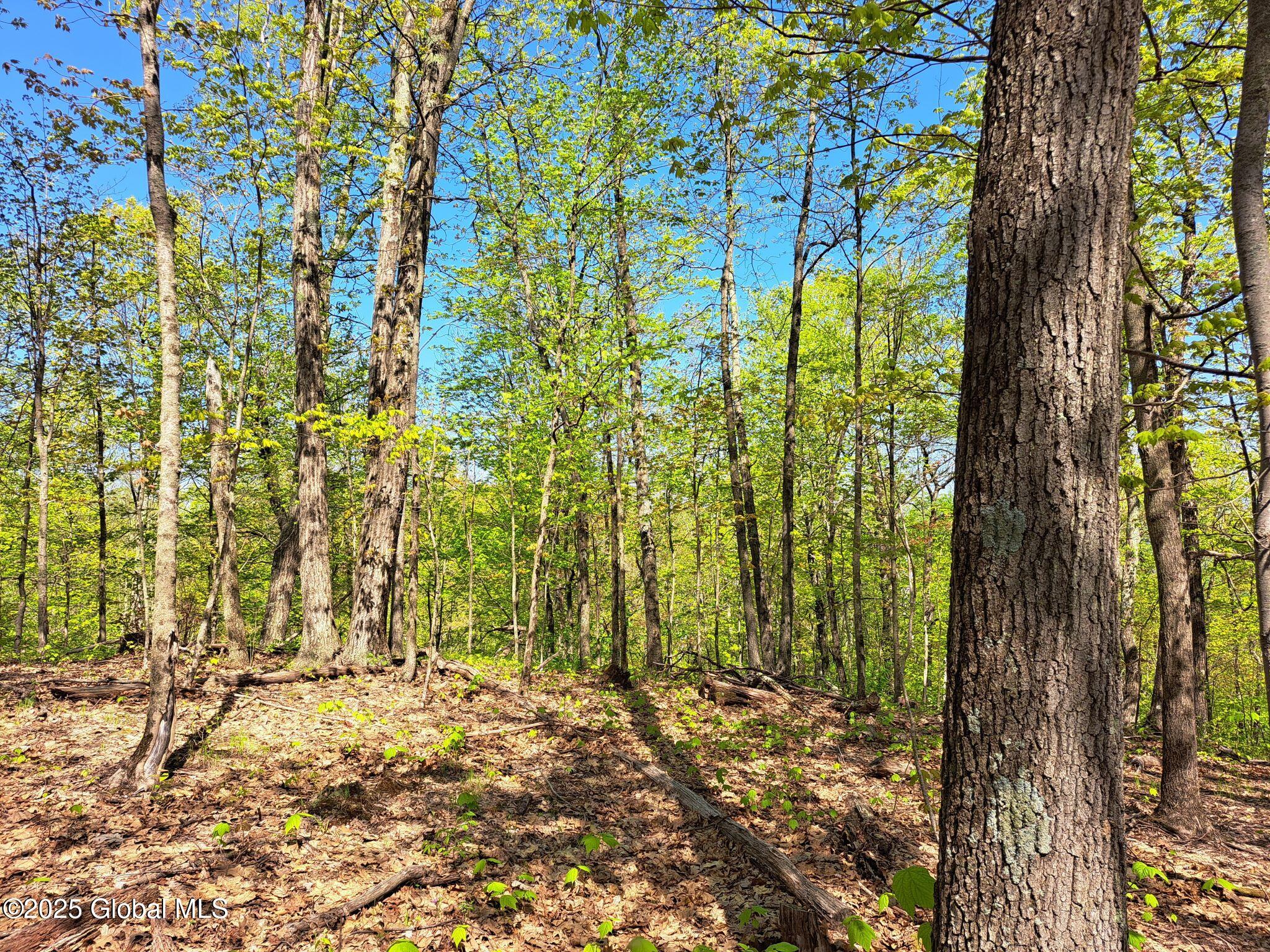 851 Bald Mountain Road Greenwich NY 12834
