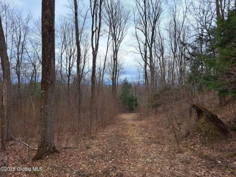 851 Bald Mountain Road Greenwich NY 12834