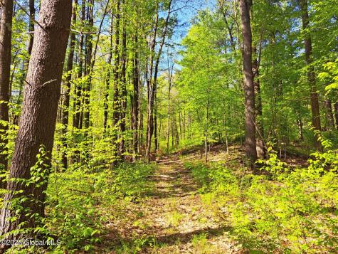 851 Bald Mountain Road Greenwich NY 12834