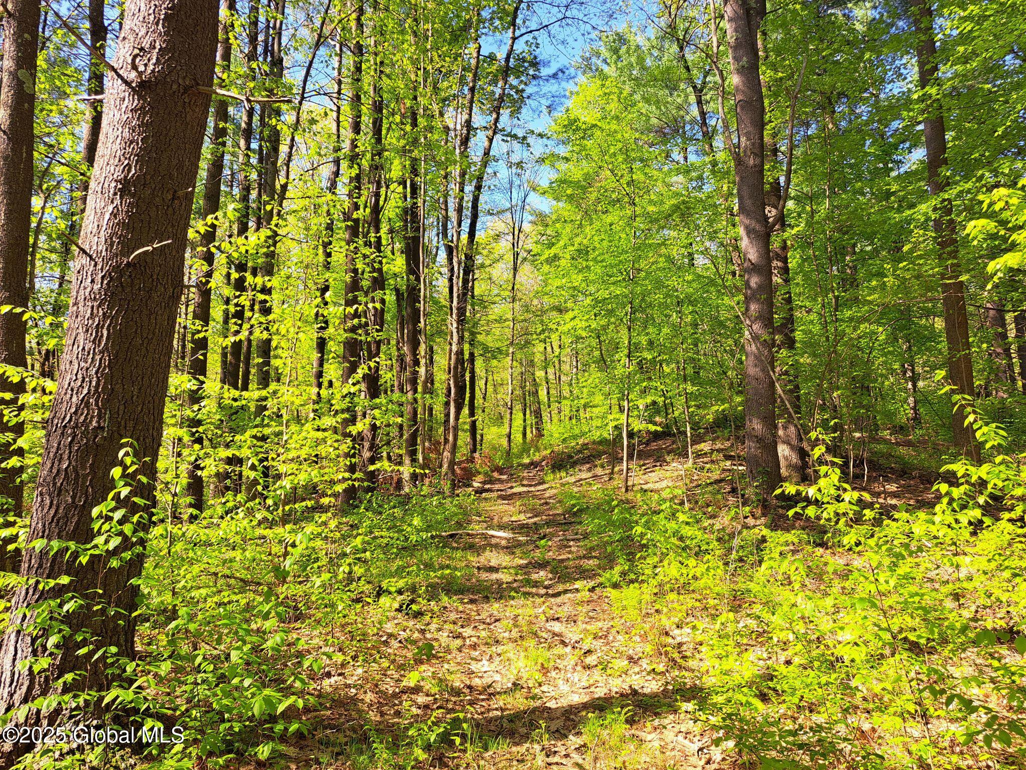 851 Bald Mountain Road Greenwich NY 12834