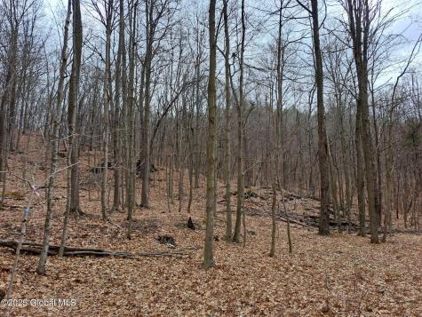 851 Bald Mountain Road Greenwich NY 12834