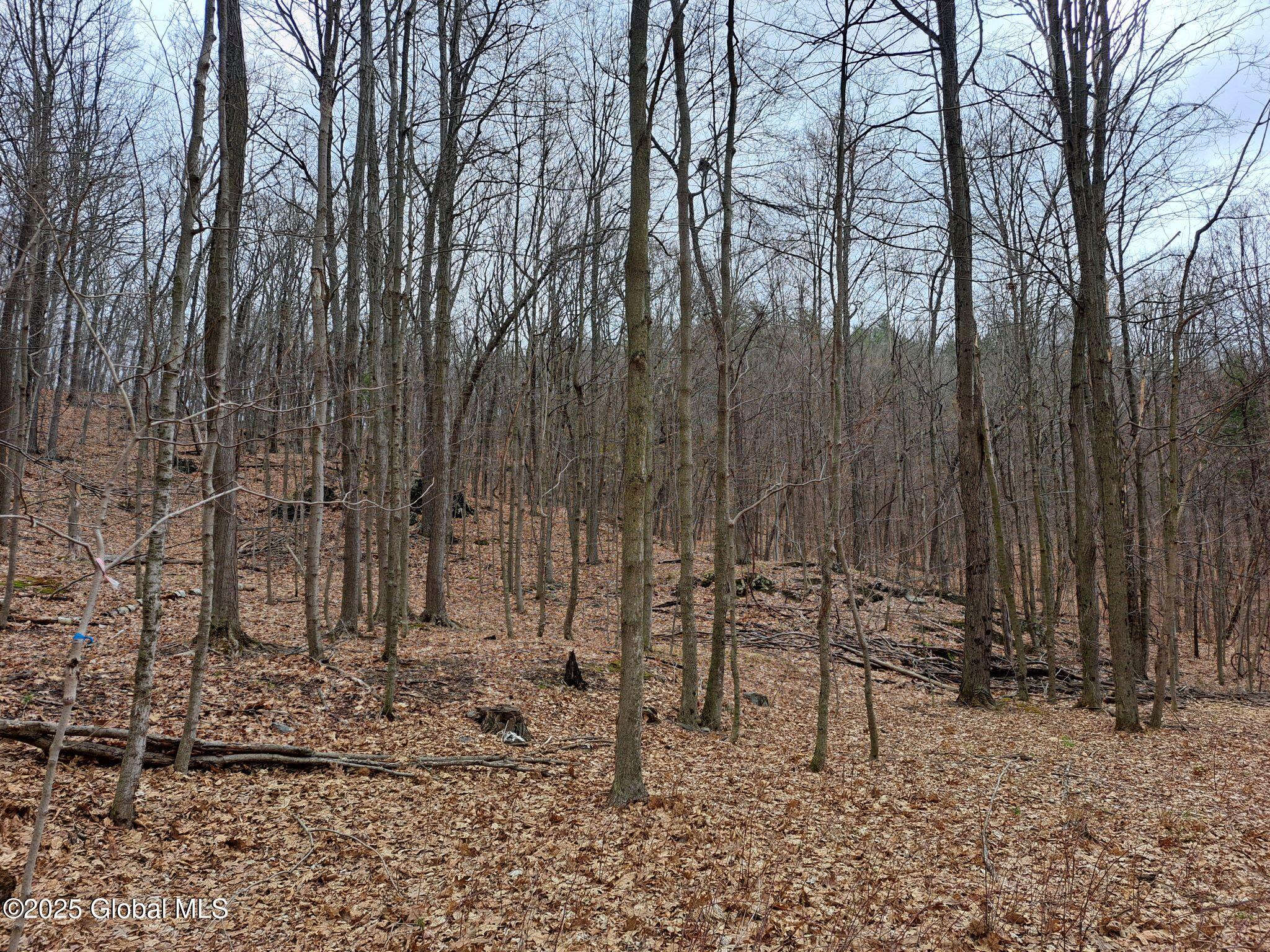 851 Bald Mountain Road Greenwich NY 12834