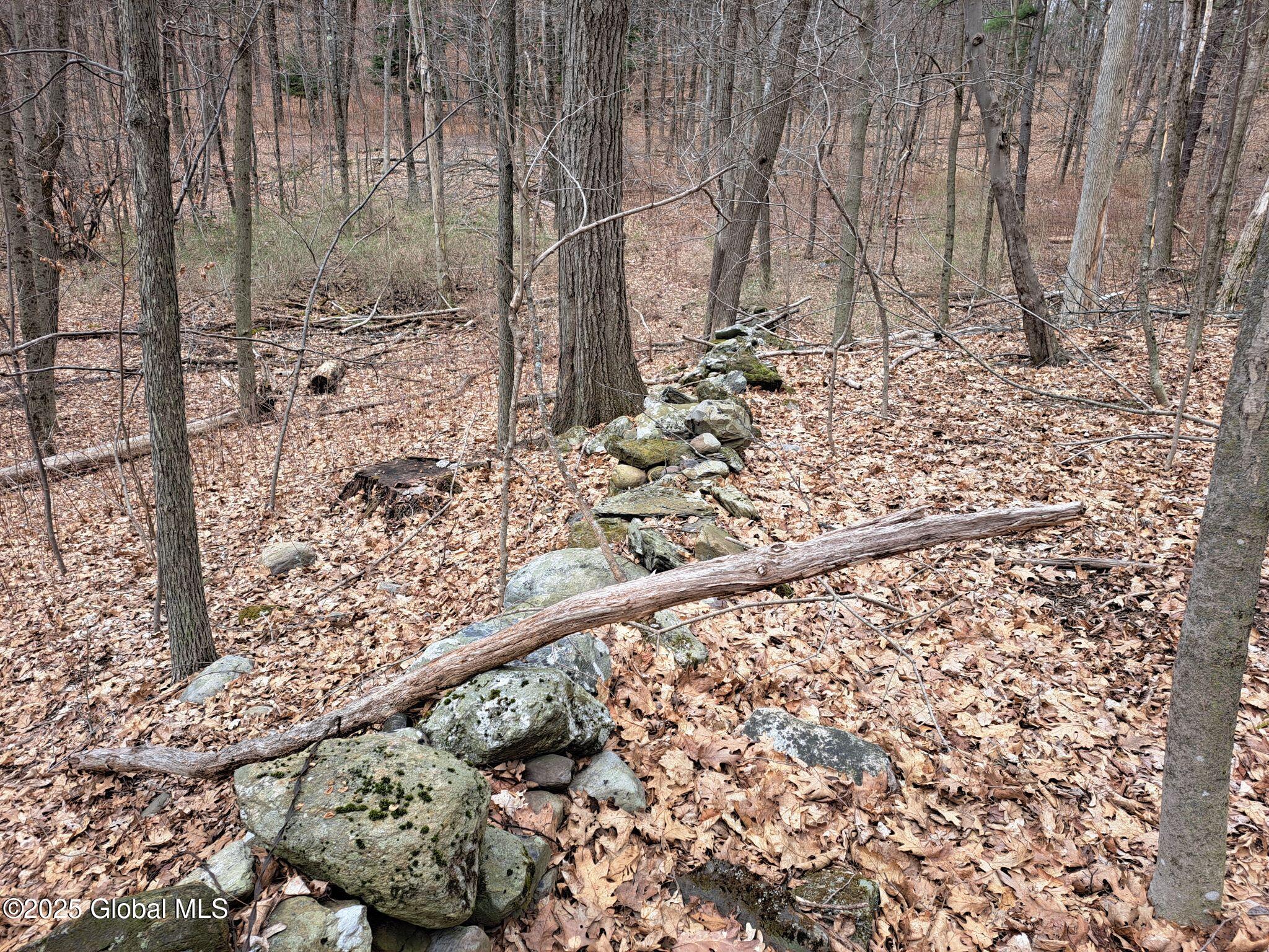 851 Bald Mountain Road Greenwich NY 12834