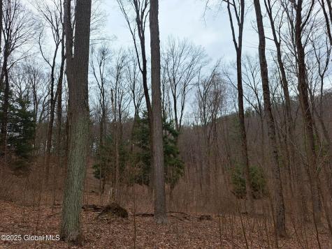 851 Bald Mountain Road Greenwich NY 12834
