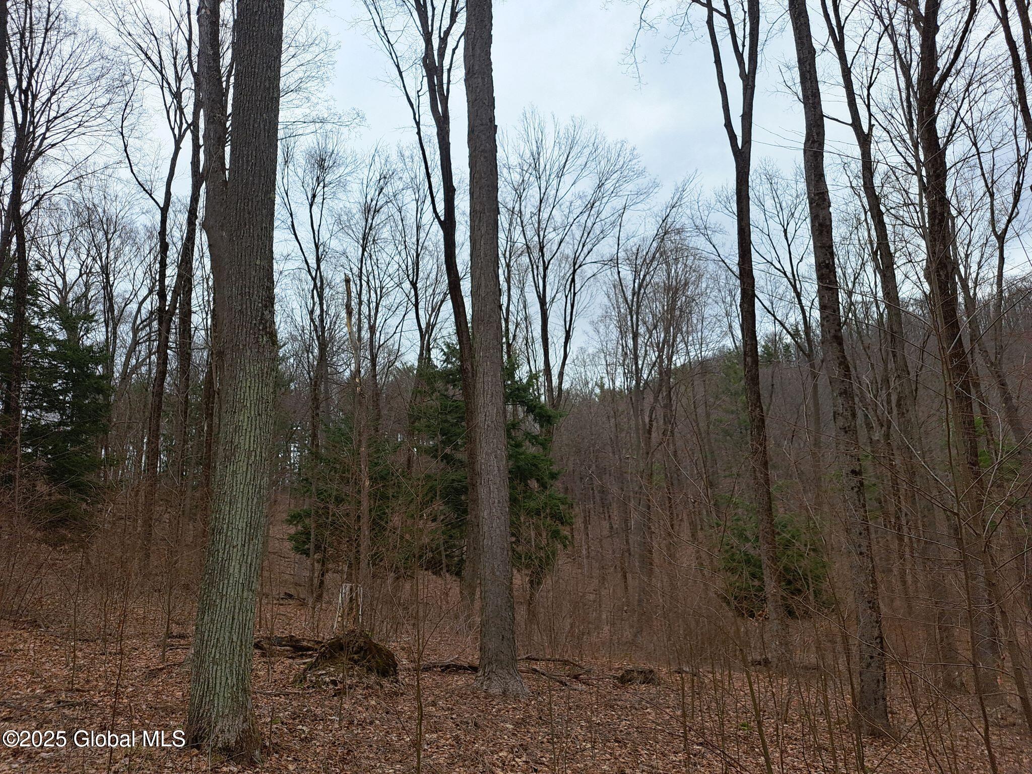 851 Bald Mountain Road Greenwich NY 12834