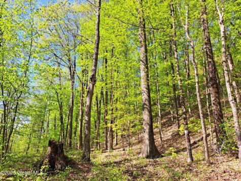 851 Bald Mountain Road Greenwich NY 12834