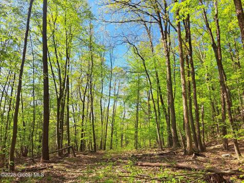 851 Bald Mountain Road Greenwich NY 12834