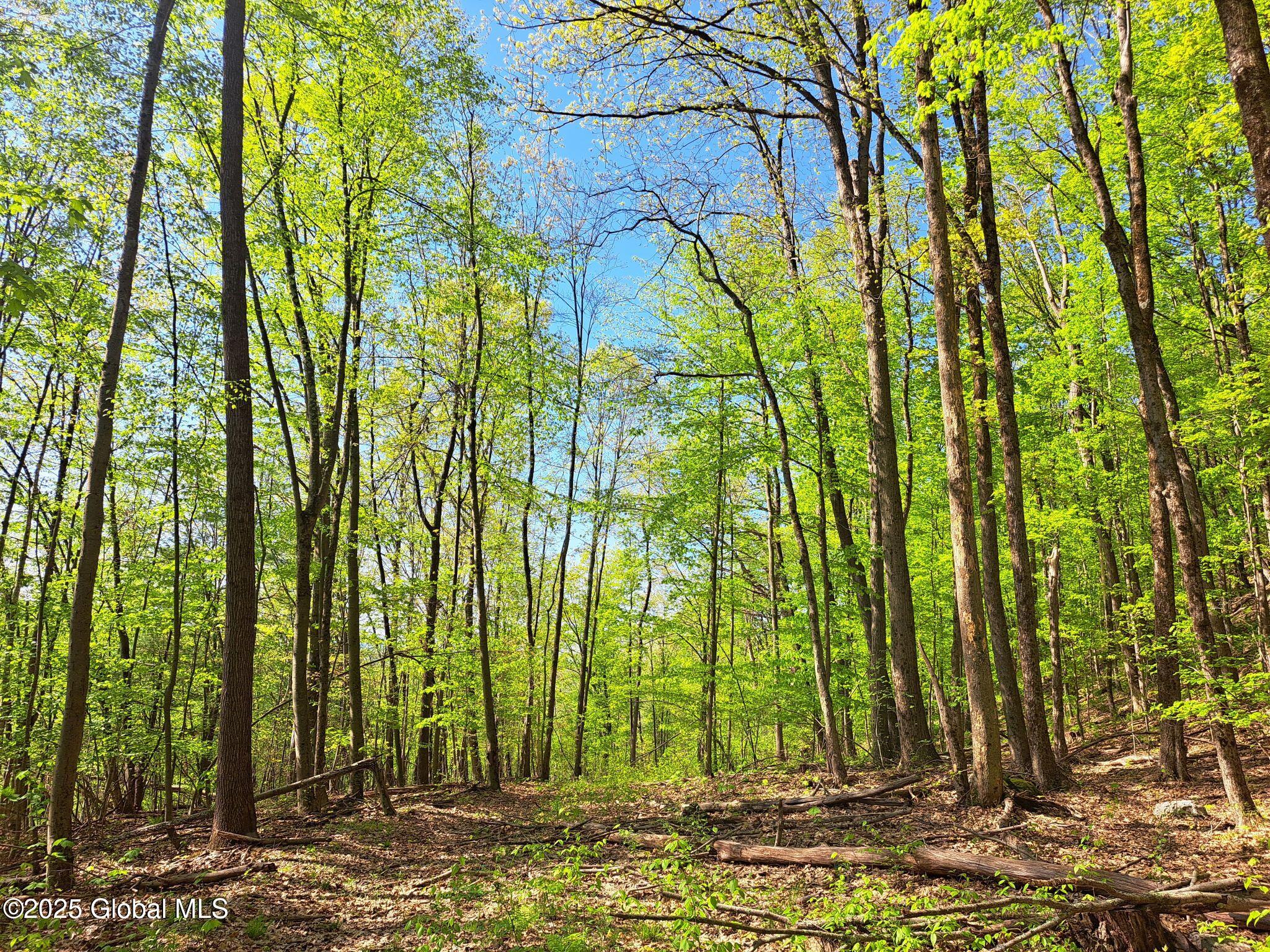851 Bald Mountain Road Greenwich NY 12834