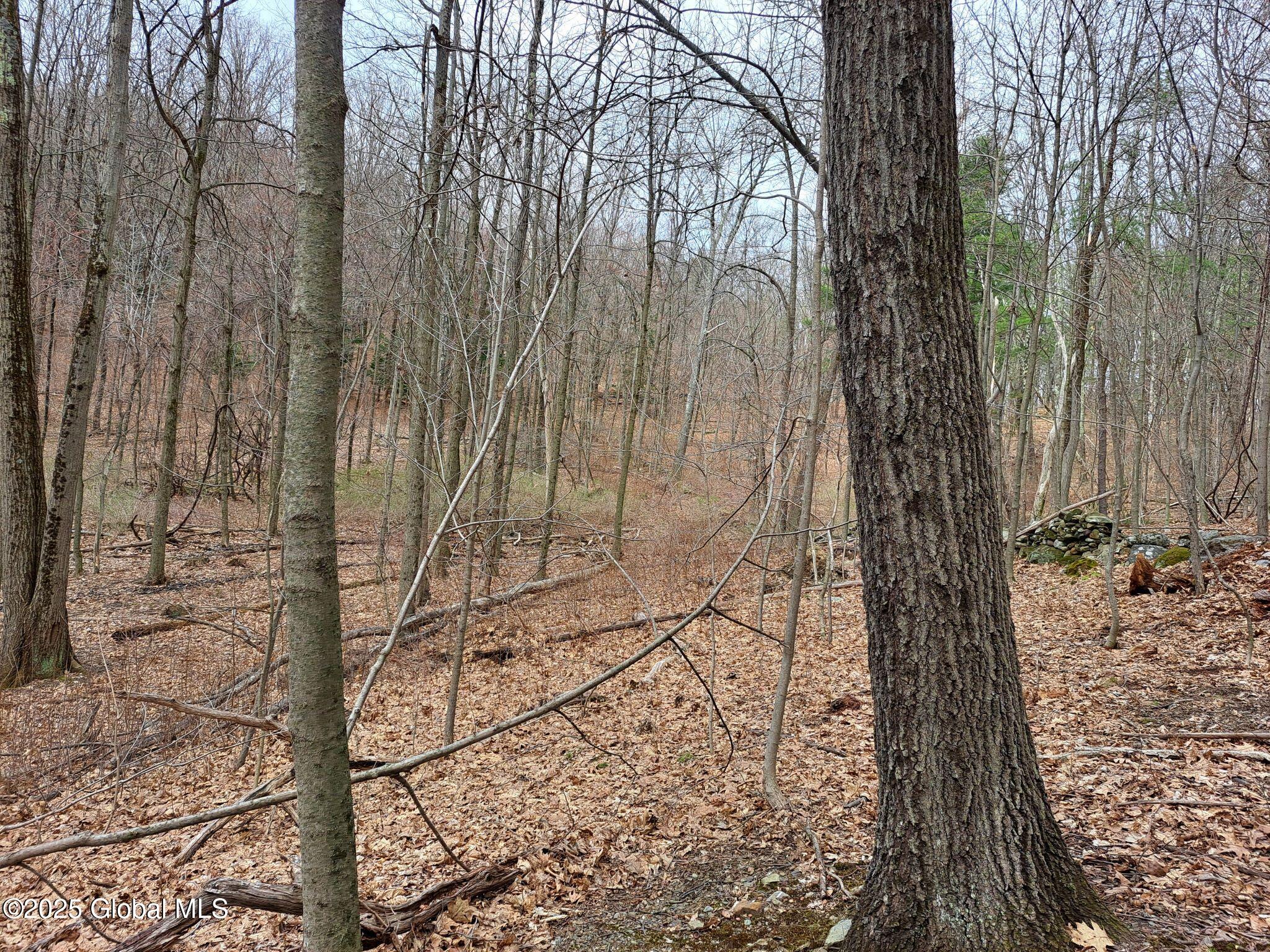 851 Bald Mountain Road Greenwich NY 12834