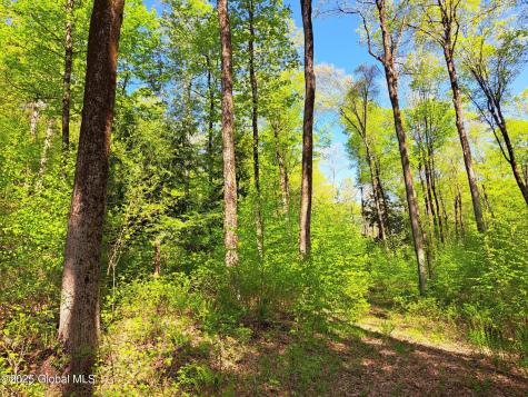 851 Bald Mountain Road Greenwich NY 12834