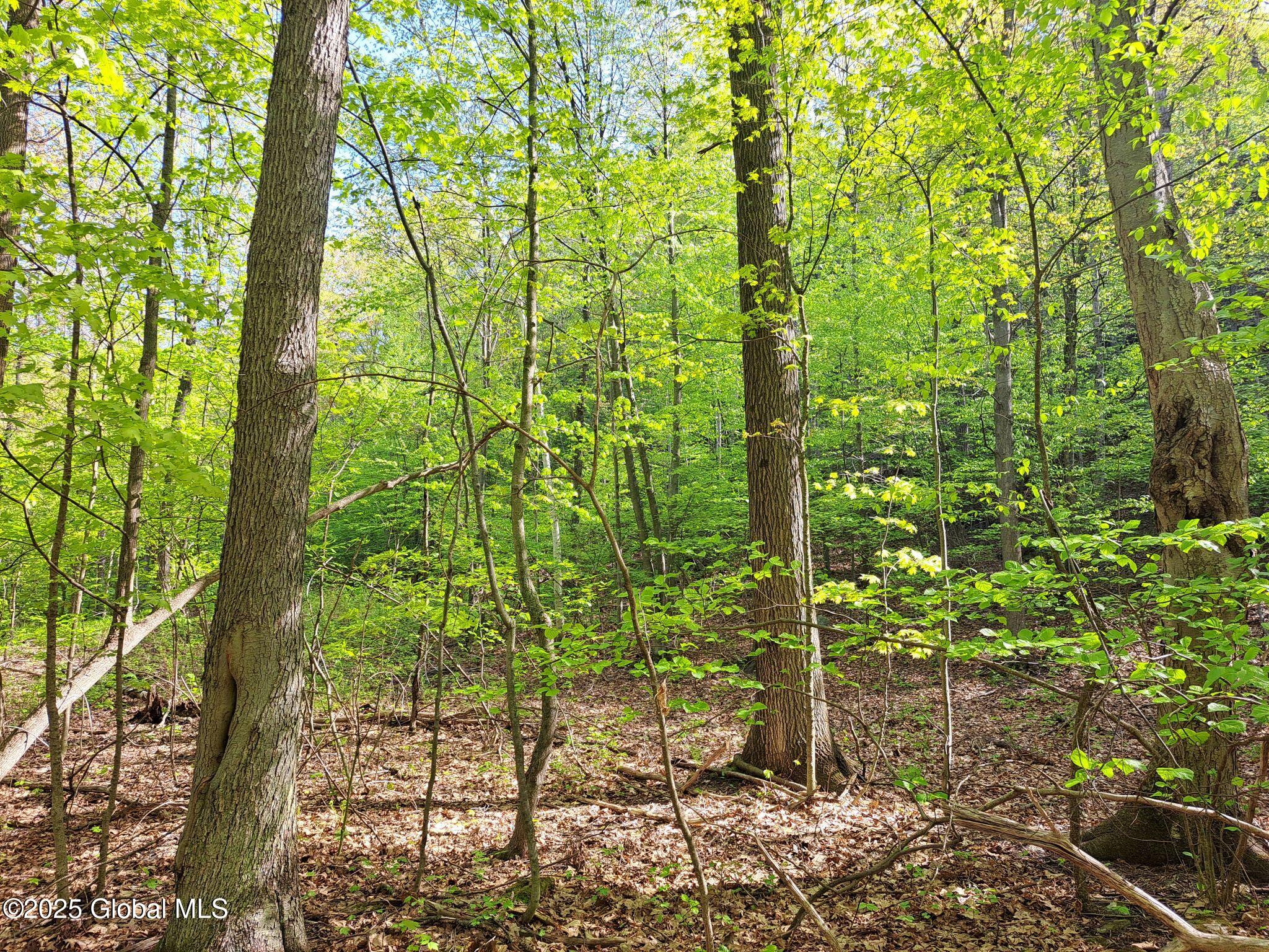 851 Bald Mountain Road Greenwich NY 12834