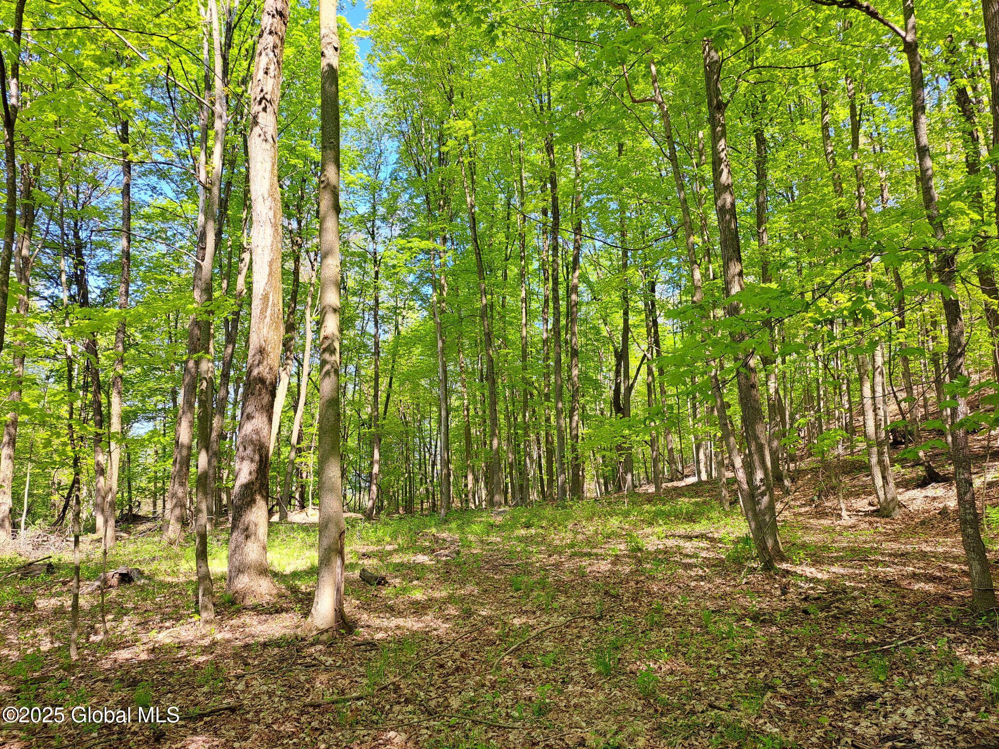 851 Bald Mountain Road Greenwich NY 12834