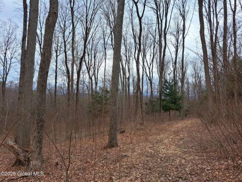 851 Bald Mountain Road Greenwich NY 12834