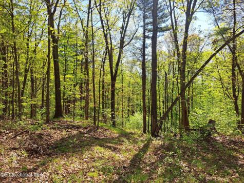 851 Bald Mountain Road Greenwich NY 12834