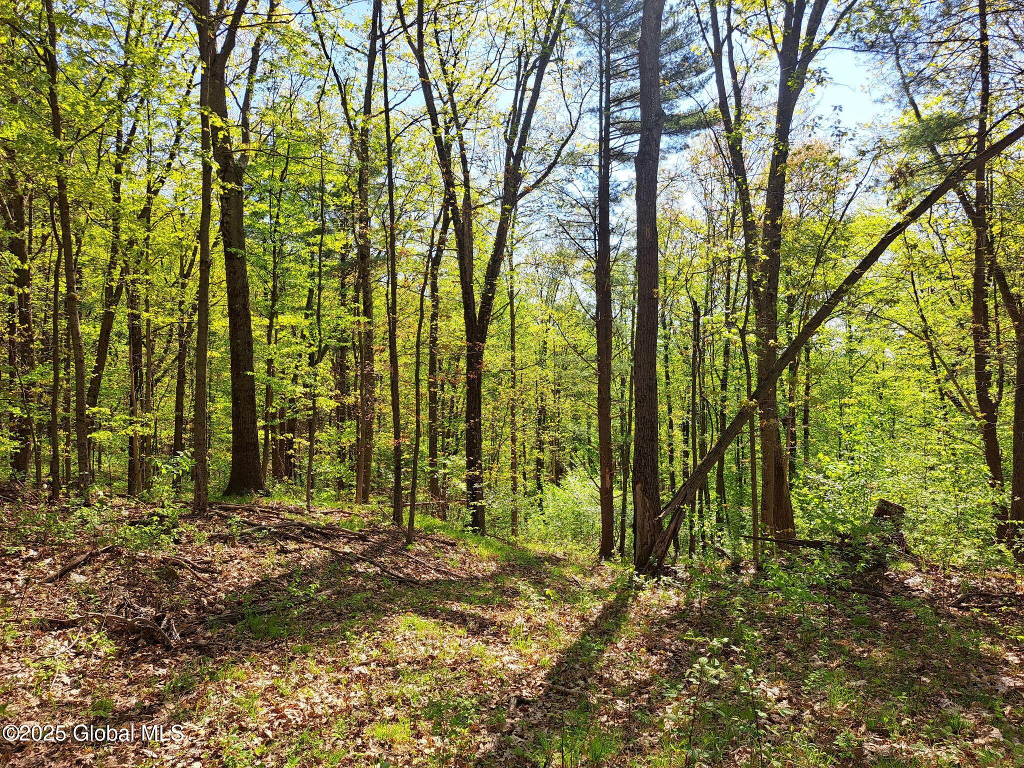 851 Bald Mountain Road Greenwich NY 12834