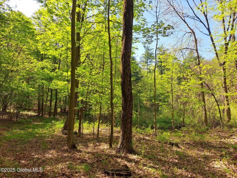 851 Bald Mountain Road Greenwich NY 12834