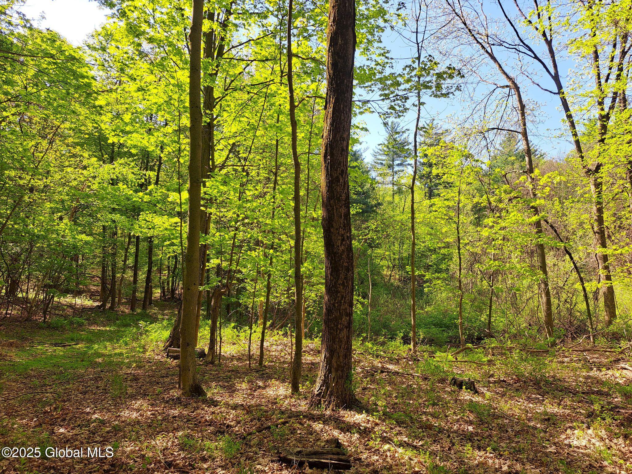 851 Bald Mountain Road Greenwich NY 12834
