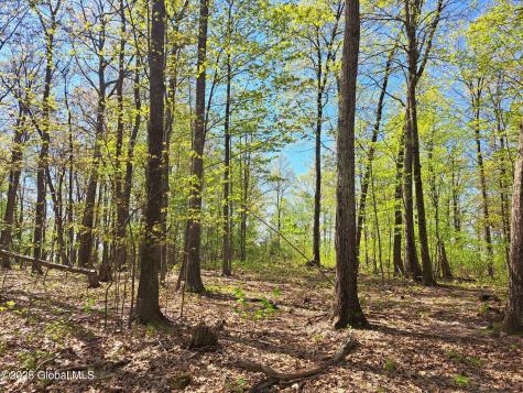 851 Bald Mountain Road Greenwich NY 12834