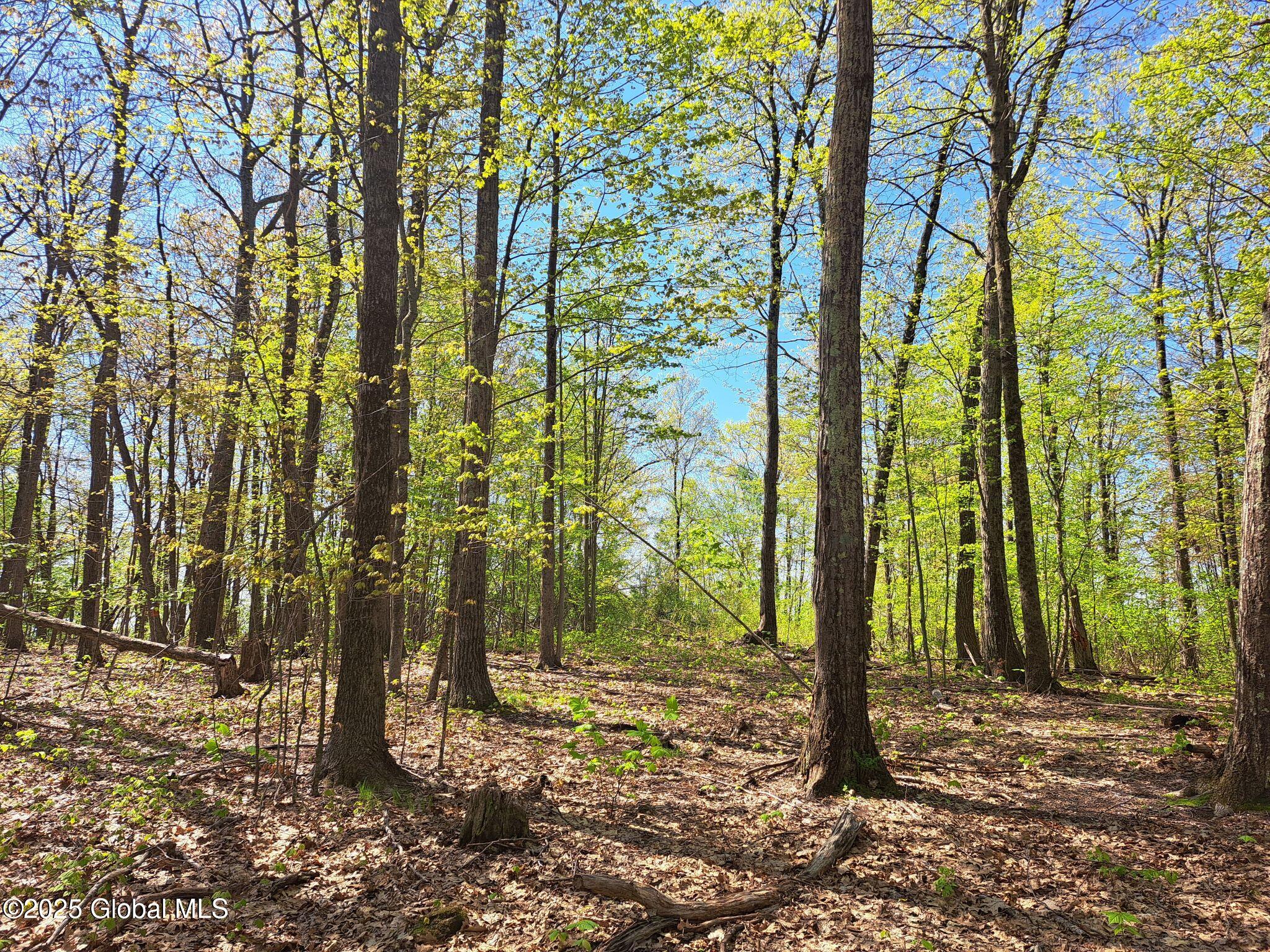 851 Bald Mountain Road Greenwich NY 12834
