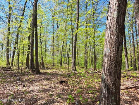 851 Bald Mountain Road Greenwich NY 12834