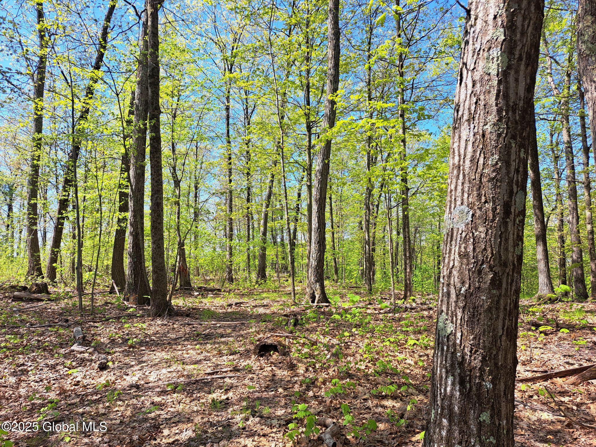 851 Bald Mountain Road Greenwich NY 12834