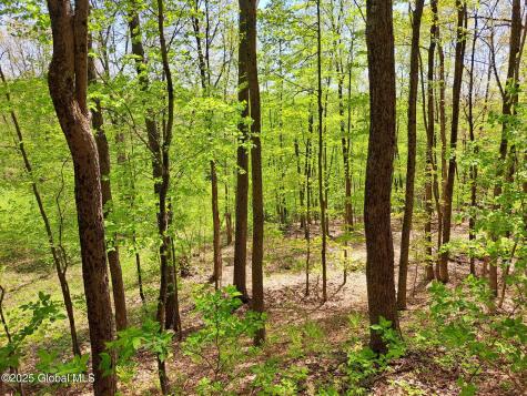 851 Bald Mountain Road Greenwich NY 12834