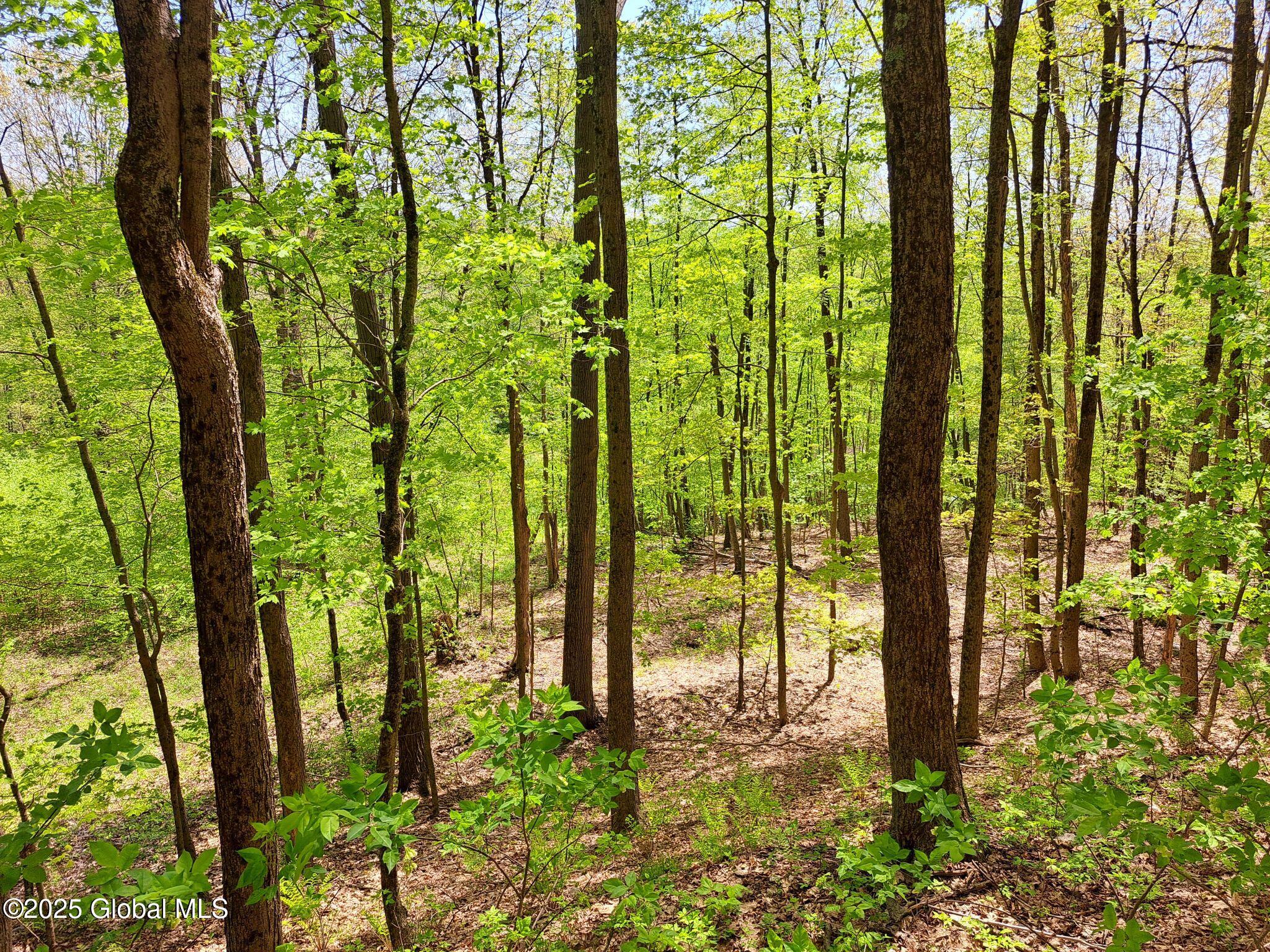 851 Bald Mountain Road Greenwich NY 12834