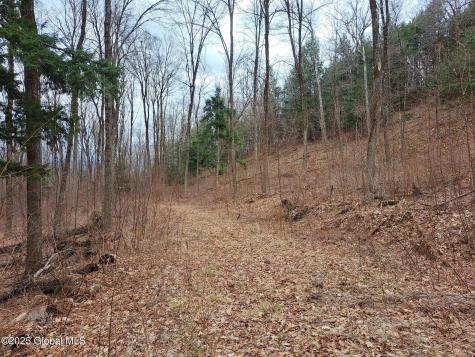 851 Bald Mountain Road Greenwich NY 12834