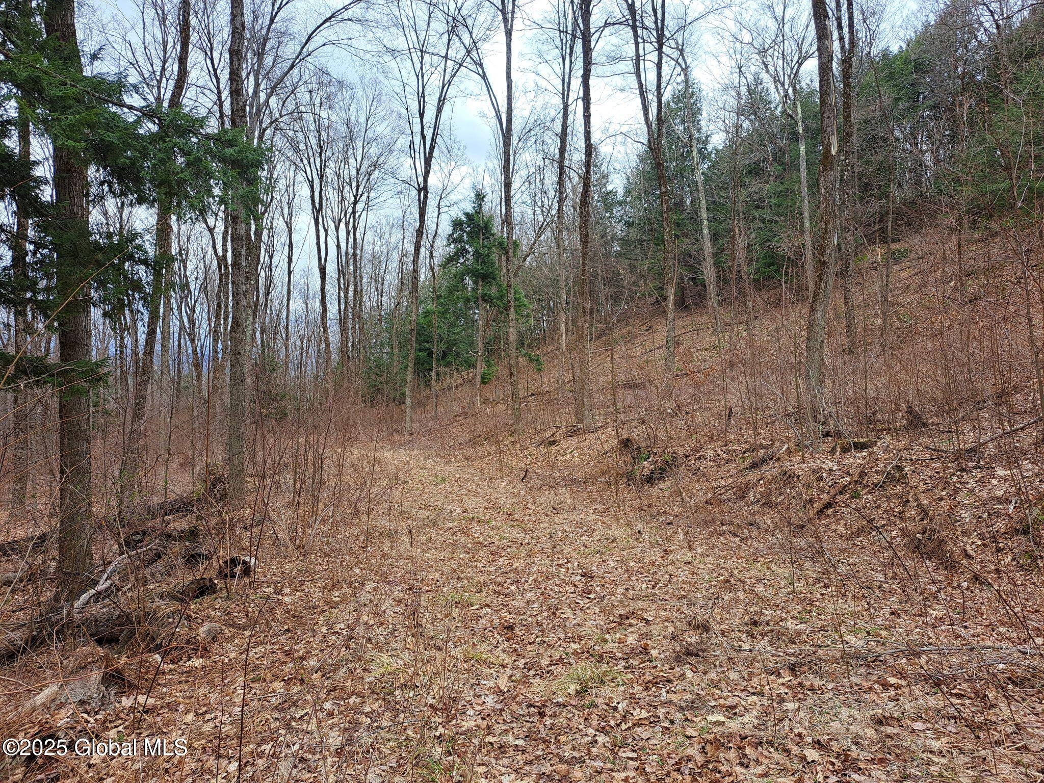 851 Bald Mountain Road Greenwich NY 12834
