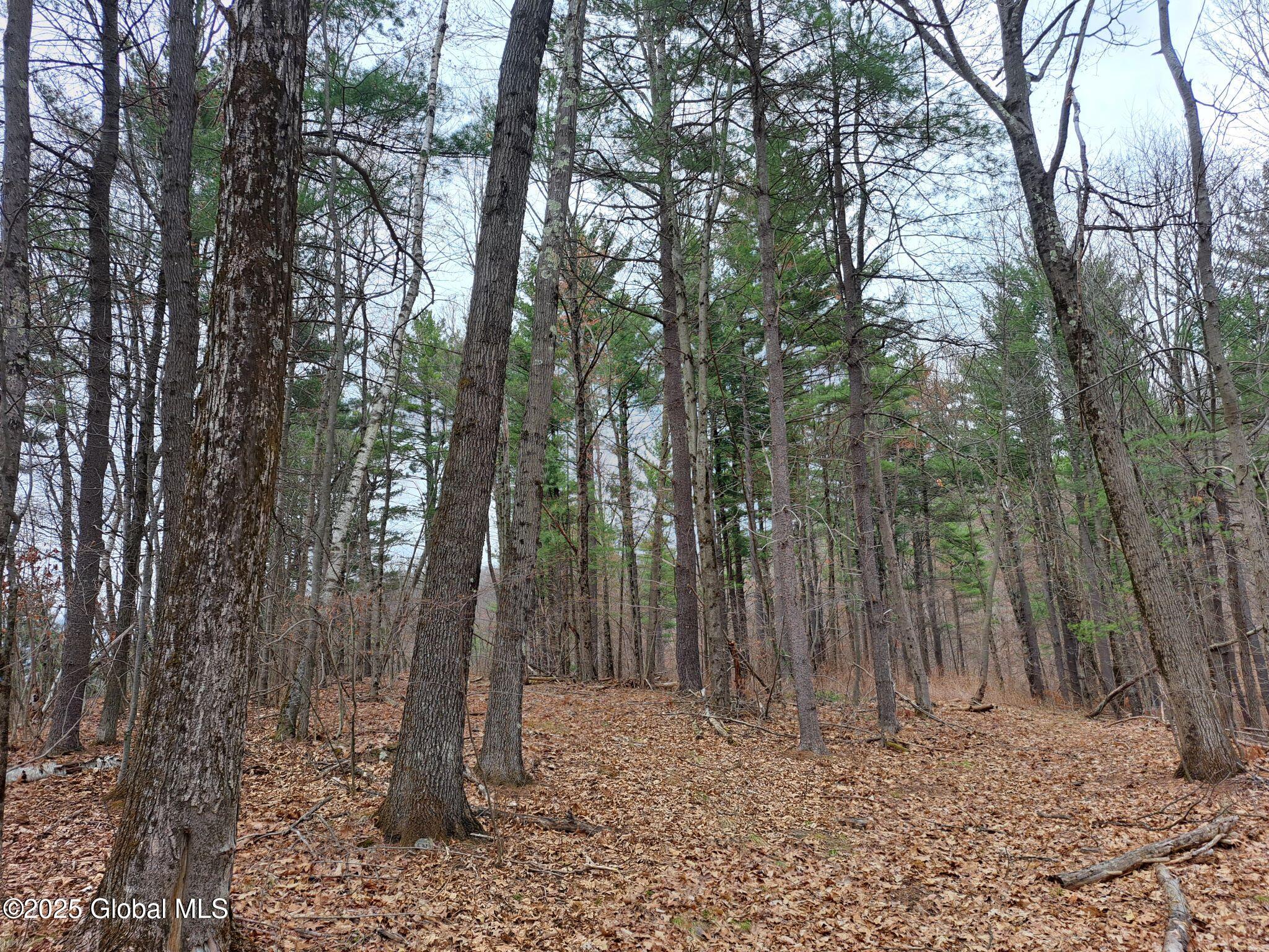 851 Bald Mountain Road Greenwich NY 12834