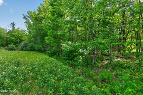 L2 27.11 King Road Saratoga NY 12831