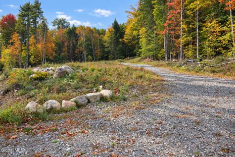 L11.231 Valentine Pond Road Pottersville NY 12860