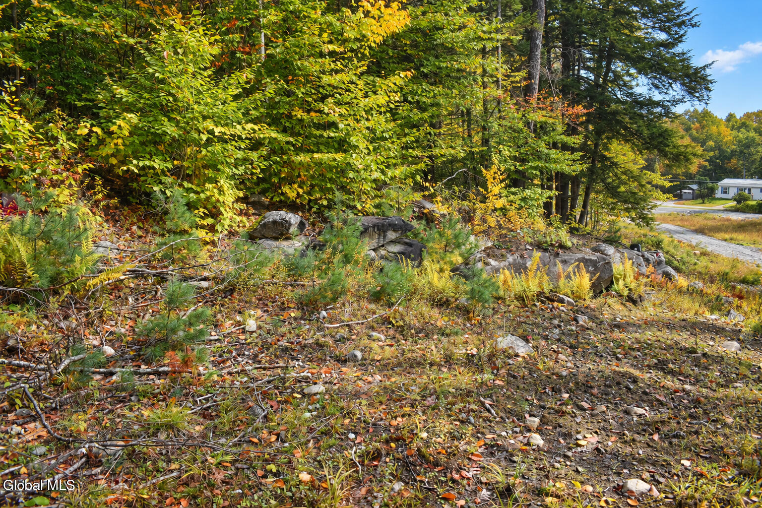 231 Valentine Pond Road Pottersville NY 12860
