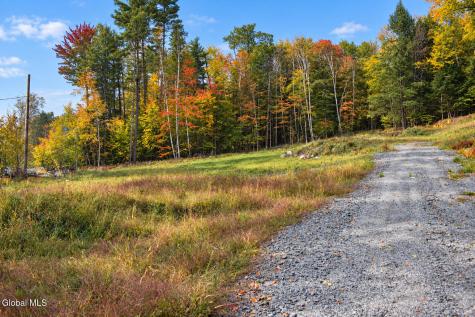 L11.231 Valentine Pond Road Pottersville NY 12860