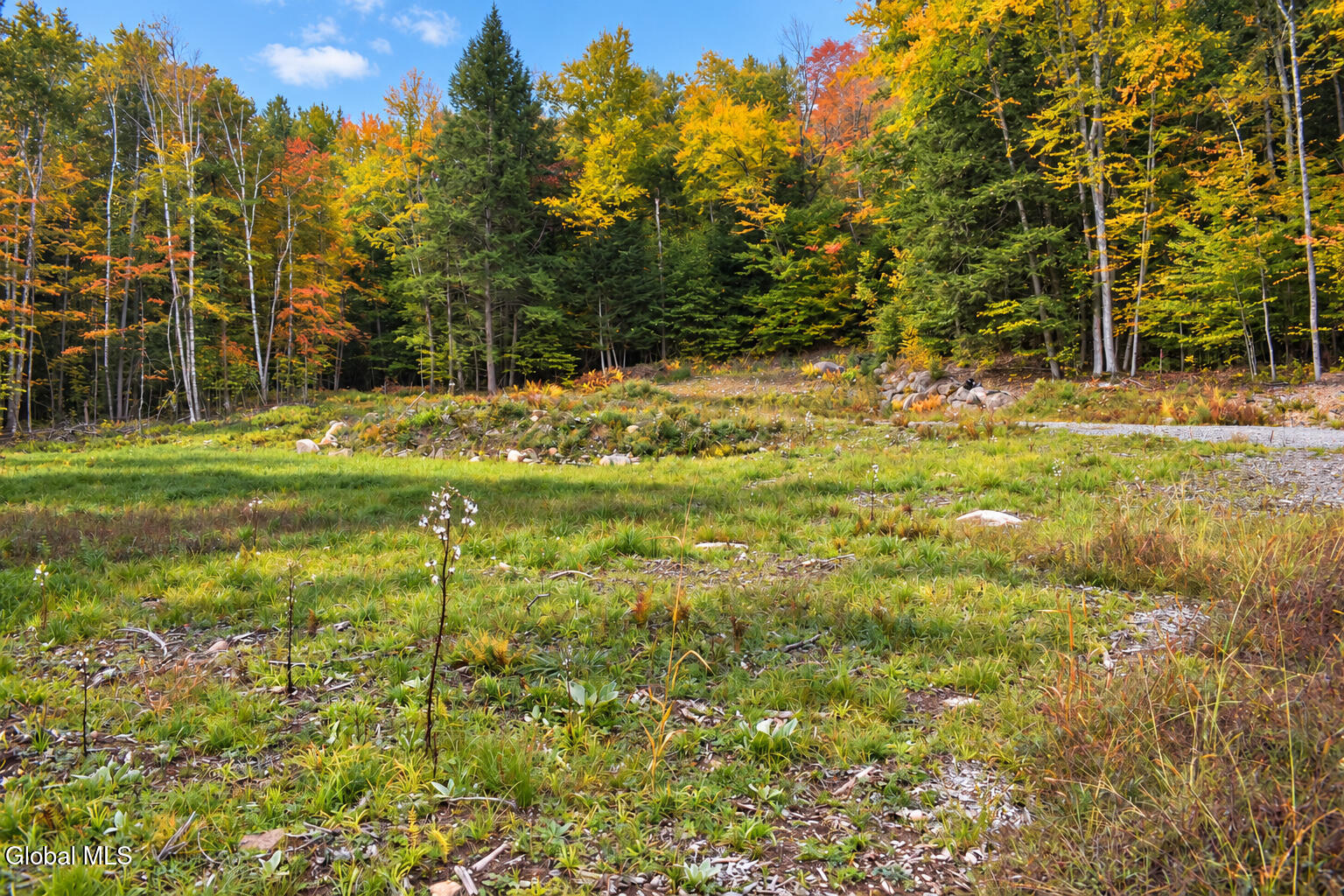 231 Valentine Pond Road Pottersville NY 12860