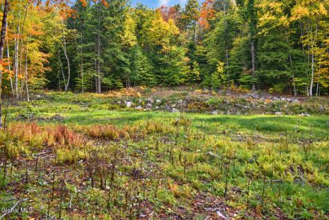 L11.231 Valentine Pond Road Pottersville NY 12860