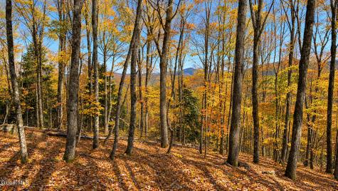 L11.231 Valentine Pond Road Pottersville NY 12860