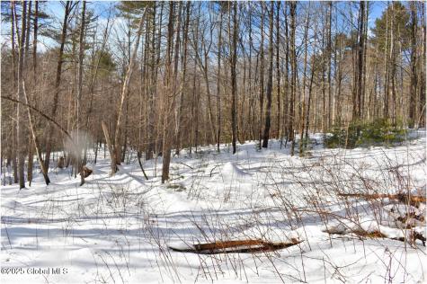 L93 Highview Lane Wevertown NY 12886