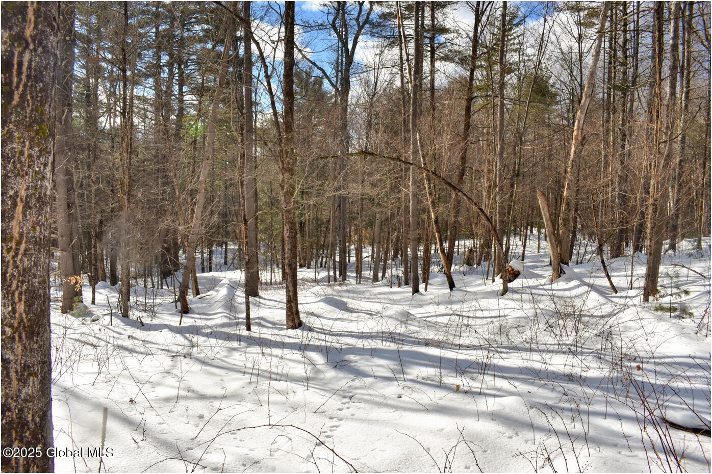 L93 Highview Lane Wevertown NY 12886